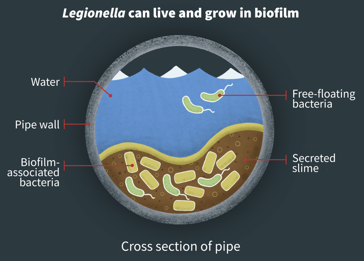 Legionella kontroll