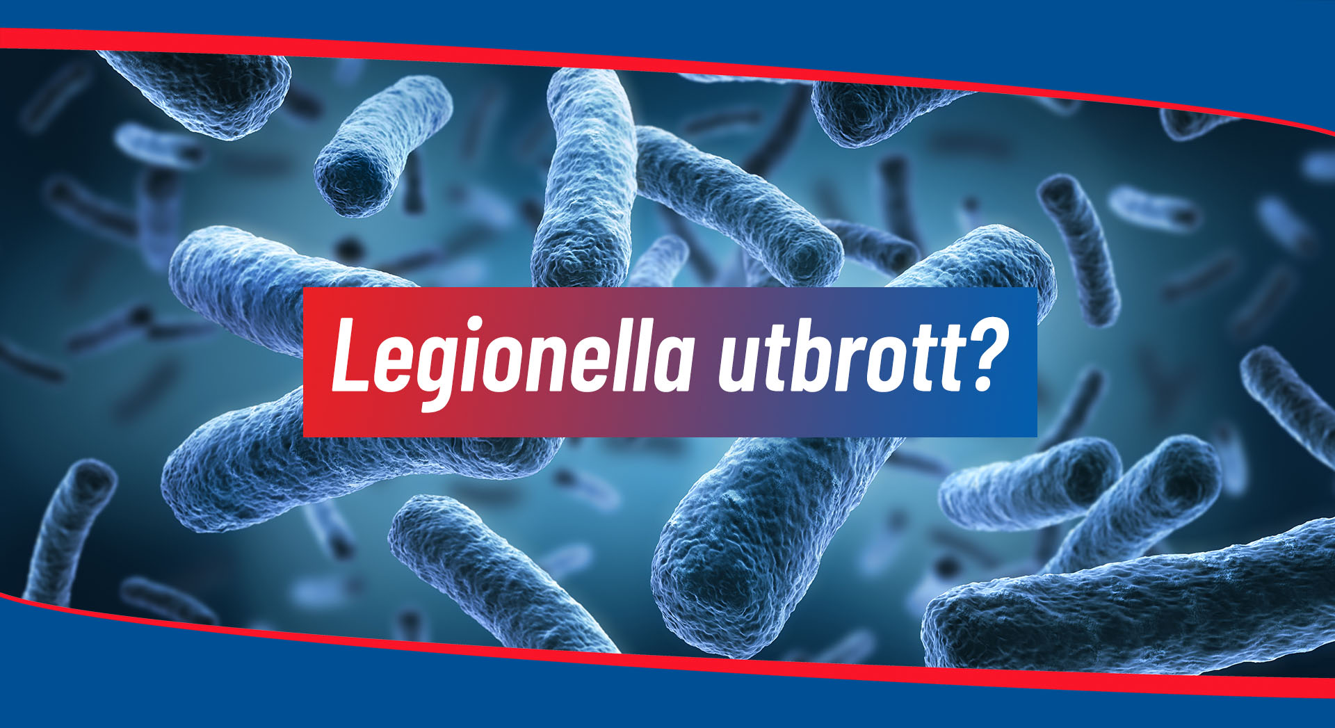 Legionella 